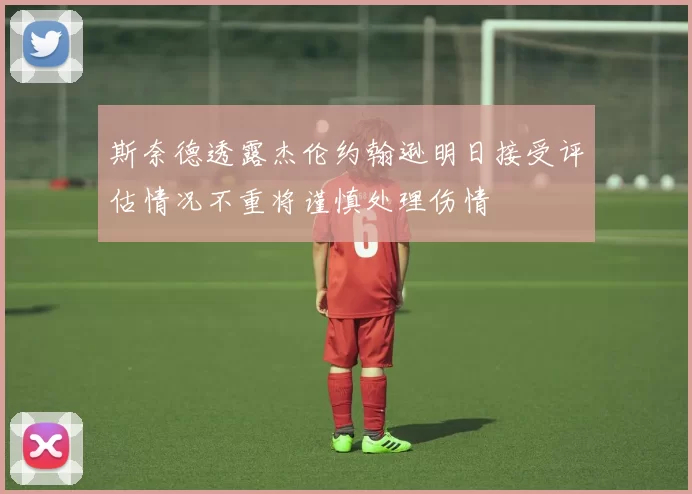 斯奈德透露杰伦约翰逊明日接受评估情况不重将谨慎处理伤情