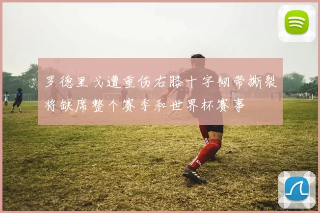 罗德里戈遭重伤右膝十字韧带撕裂将缺席整个赛季和世界杯赛事