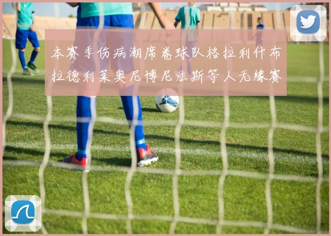 本赛季伤病潮席卷球队格拉利什布拉德利莱奥尼博尼法斯等人无缘赛季余下比赛